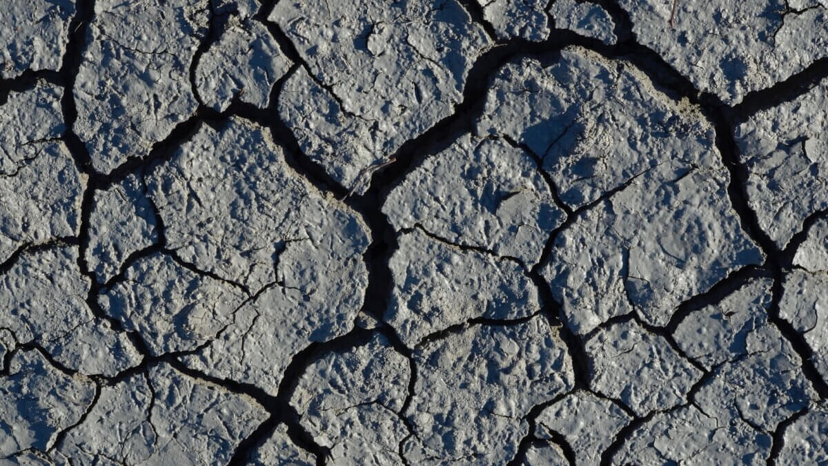 終結資本主義才能應對乾涸危機